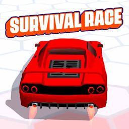 Survival Race